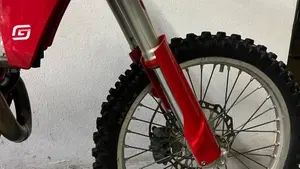 GASGAS EC 350 F (2025)  (10)