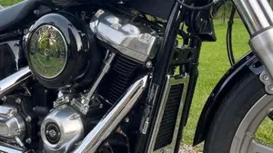 Harley-Davidson Softail Standard (2020) - FXST  (3)
