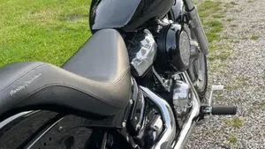 Harley-Davidson Softail Standard (2020) - FXST  (6)
