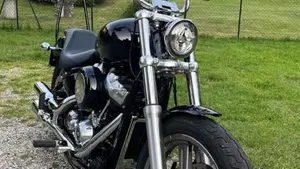 Harley-Davidson Softail Standard (2020) - FXST  (7)