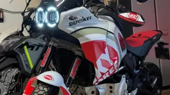 Ducati DesertX (2022 - 25) usata