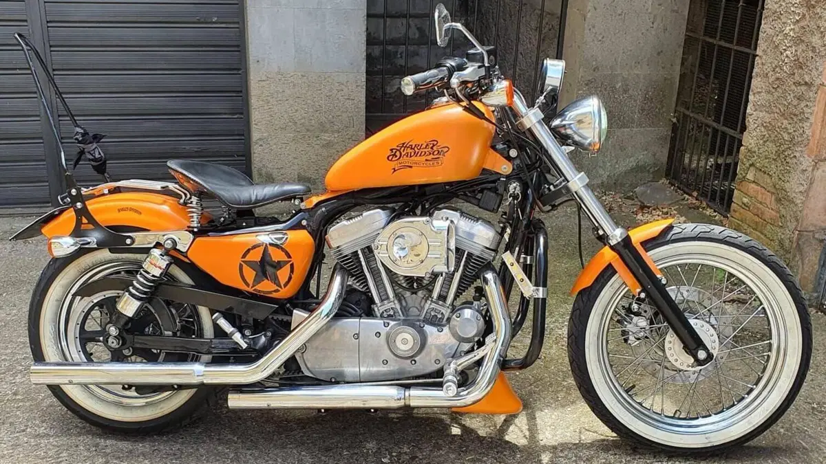 Harley-Davidson 883 Custom (2001 - 05) - XL 53C  (2)