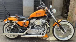 Harley-Davidson 883 Custom (2001 - 05) - XL 53C  (2)