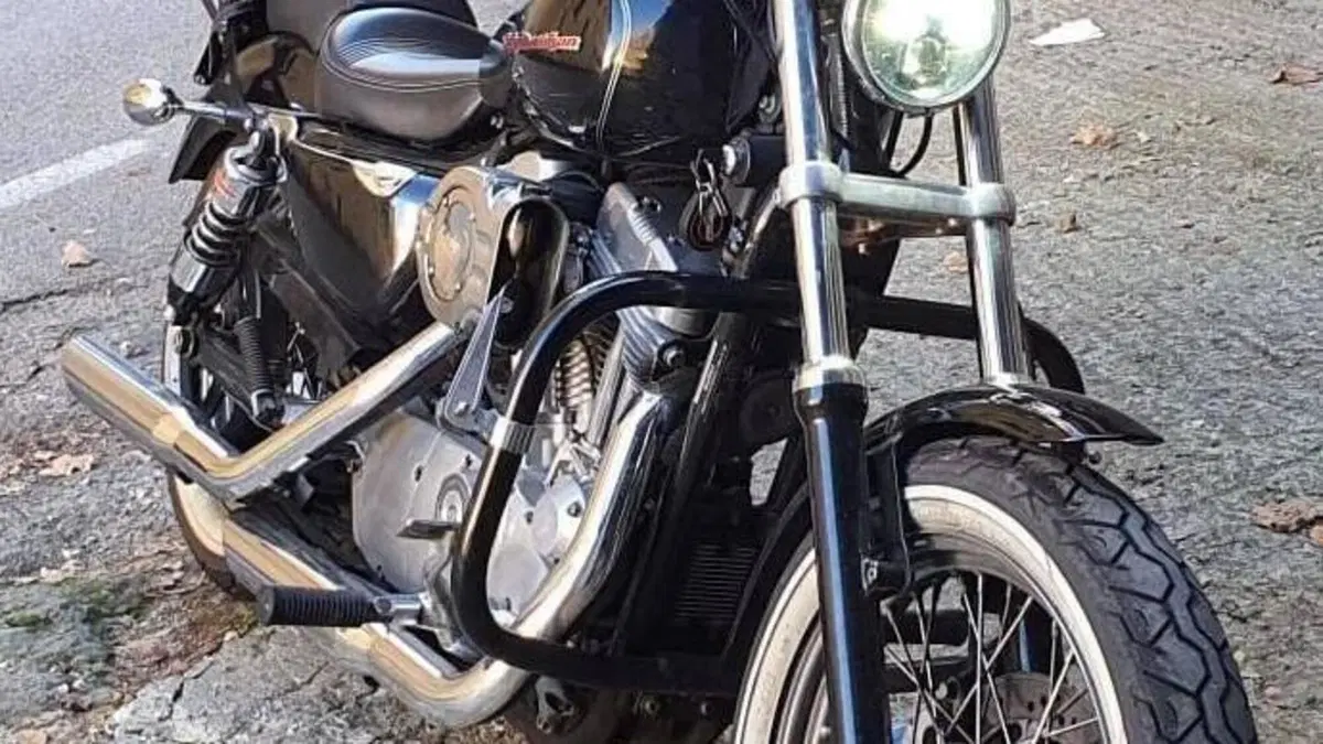 Harley-Davidson 883 Custom (2001 - 05) - XL 53C  (4)