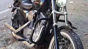 Harley-Davidson 883 Custom (2001 - 05) - XL 53C  (4)