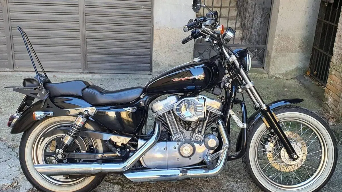 Harley-Davidson 883 Custom (2001 - 05) - XL 53C  (5)