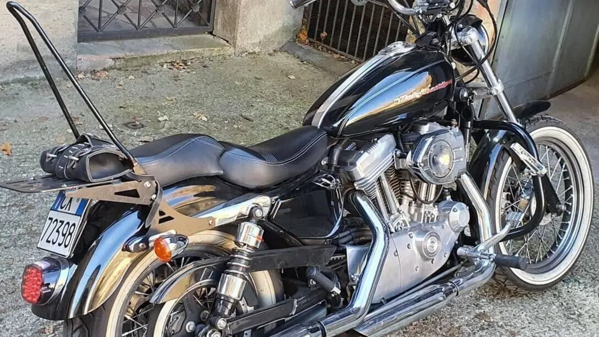 Harley-Davidson 883 Custom (2001 - 05) - XL 53C  (6)