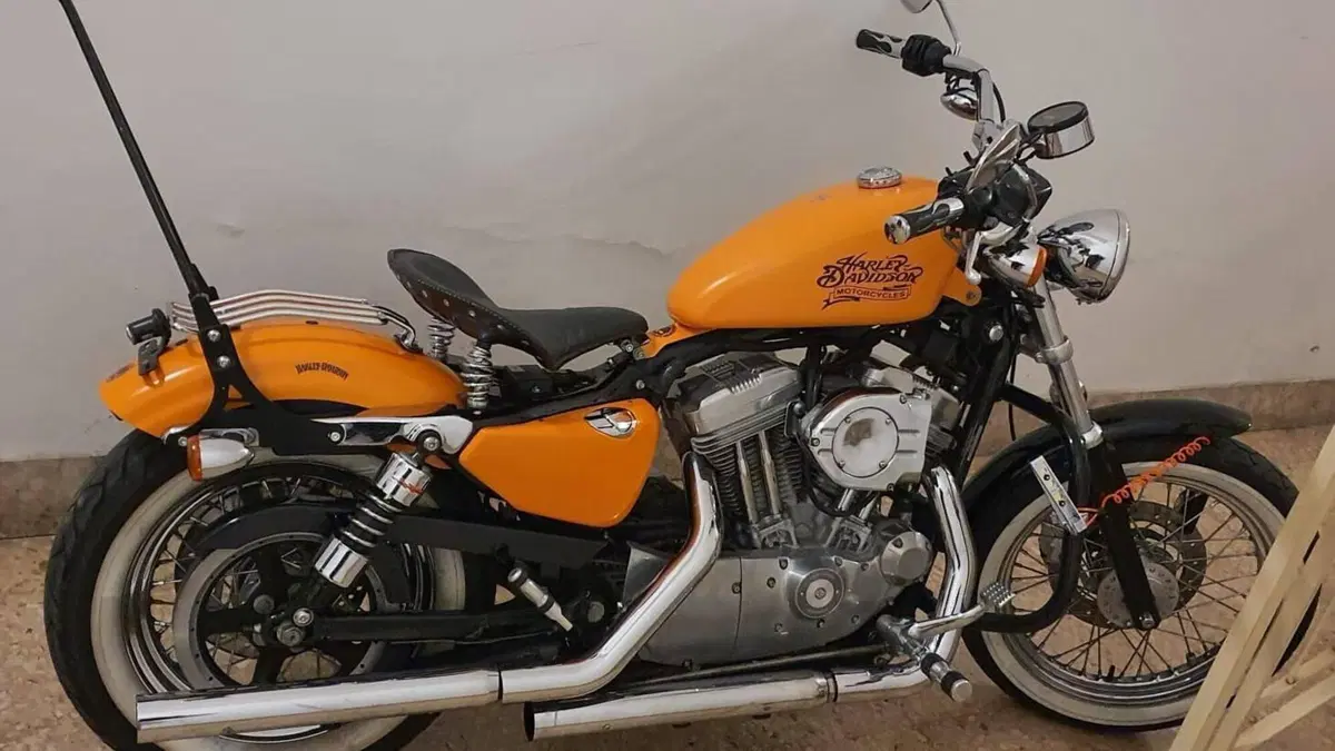 Harley-Davidson 883 Custom (2001 - 05) - XL 53C  (8)