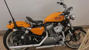 Harley-Davidson 883 Custom (2001 - 05) - XL 53C  (8)