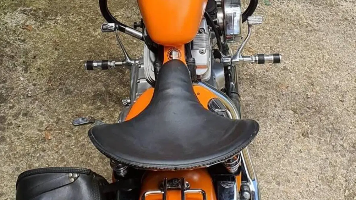 Harley-Davidson 883 Custom (2001 - 05) - XL 53C  (9)