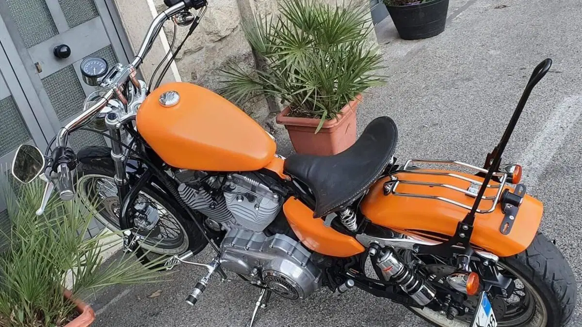 Harley-Davidson 883 Custom (2001 - 05) - XL 53C  (11)
