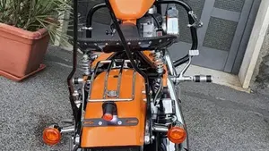 Harley-Davidson 883 Custom (2001 - 05) - XL 53C  (12)