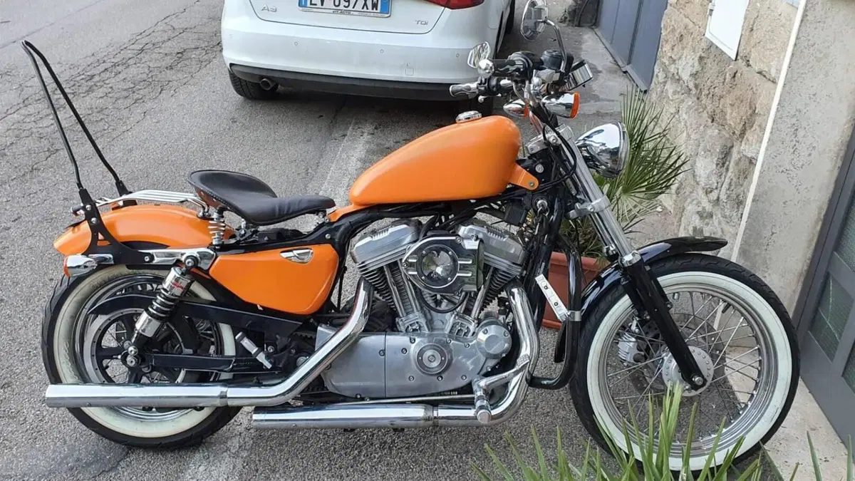 Harley-Davidson 883 Custom (2001 - 05) - XL 53C  (13)
