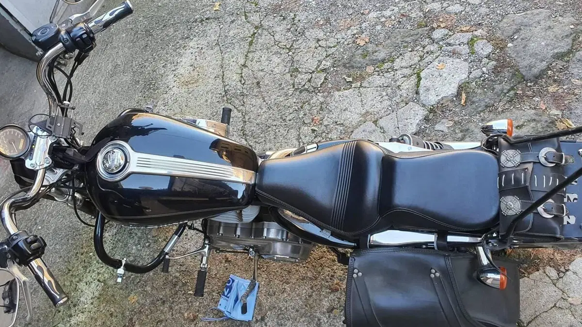 Harley-Davidson 883 Custom (2001 - 05) - XL 53C  (14)