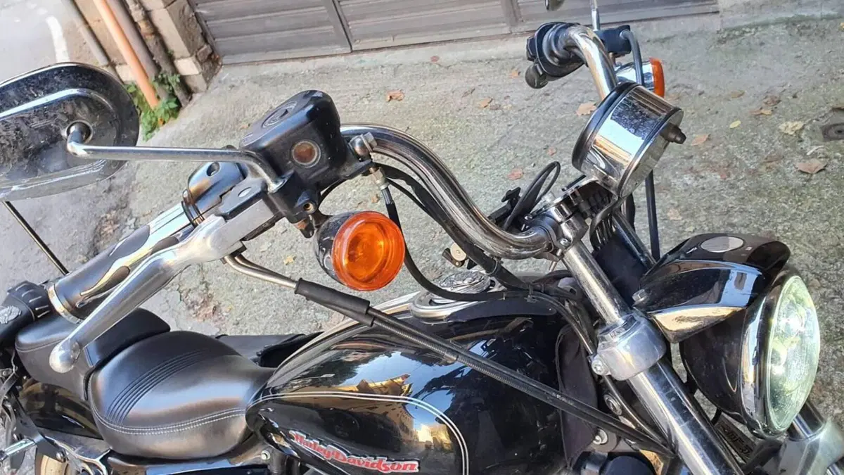 Harley-Davidson 883 Custom (2001 - 05) - XL 53C  (16)