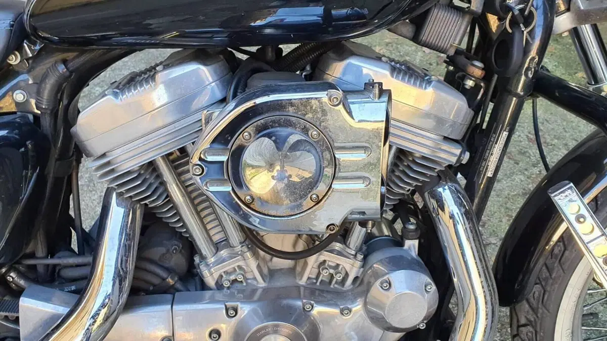 Harley-Davidson 883 Custom (2001 - 05) - XL 53C  (17)