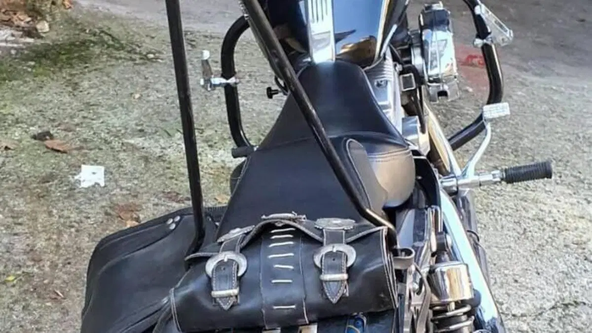Harley-Davidson 883 Custom (2001 - 05) - XL 53C  (18)