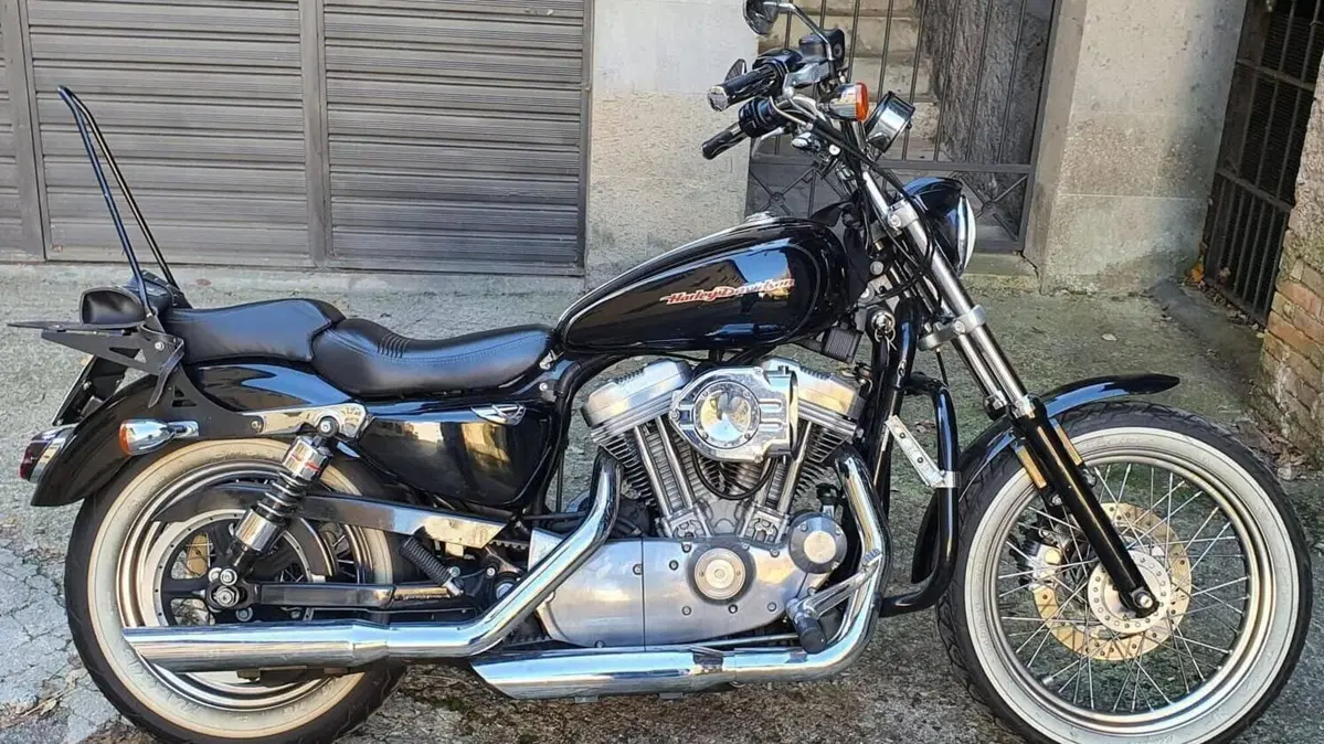 Harley-Davidson 883 Custom (2001 - 05) - XL 53C  (19)