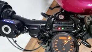 Harley-Davidson 1200 Forty-Eight (2016 - 20)  (5)