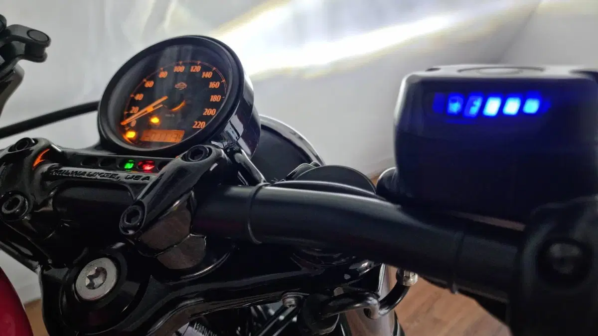 Harley-Davidson 1200 Forty-Eight (2016 - 20)  (7)