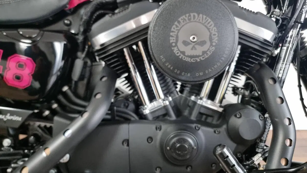 Harley-Davidson 1200 Forty-Eight (2016 - 20)  (8)