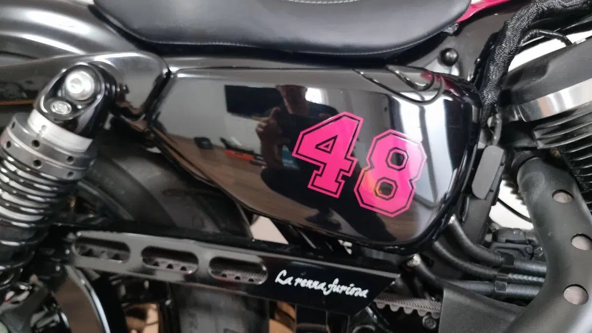 Harley-Davidson 1200 Forty-Eight (2016 - 20)  (9)