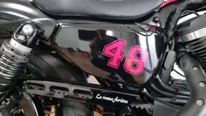 Harley-Davidson 1200 Forty-Eight (2016 - 20)  (9)