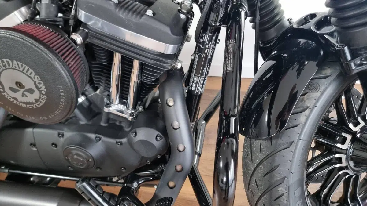 Harley-Davidson 1200 Forty-Eight (2016 - 20)  (12)