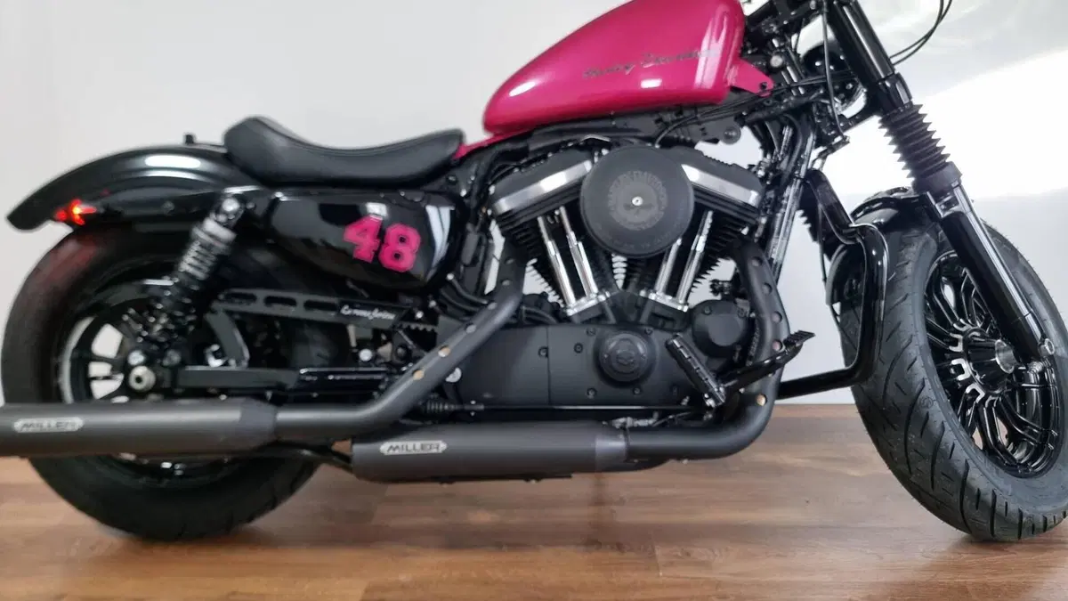 Harley-Davidson 1200 Forty-Eight (2016 - 20)  (14)