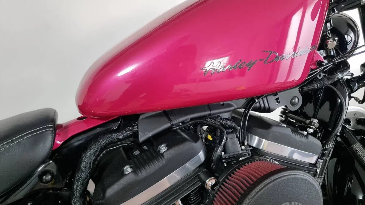 Harley-Davidson 1200 Forty-Eight (2016 - 20)  (15)