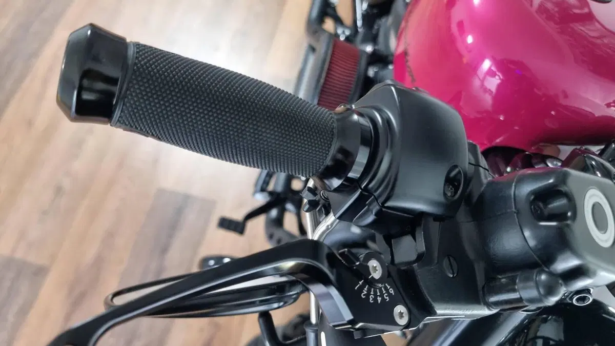 Harley-Davidson 1200 Forty-Eight (2016 - 20)  (17)