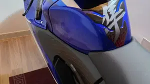 Suzuki GSX 1300 R Hayabusa Special Edition (2026)  (3)
