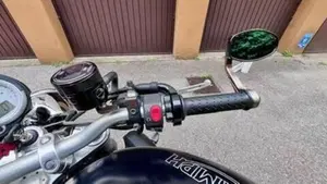 Triumph Speed Triple 1050 (2005 - 11)  (5)