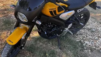 Yamaha XSR 125 Legacy (2022 - 24) usata
