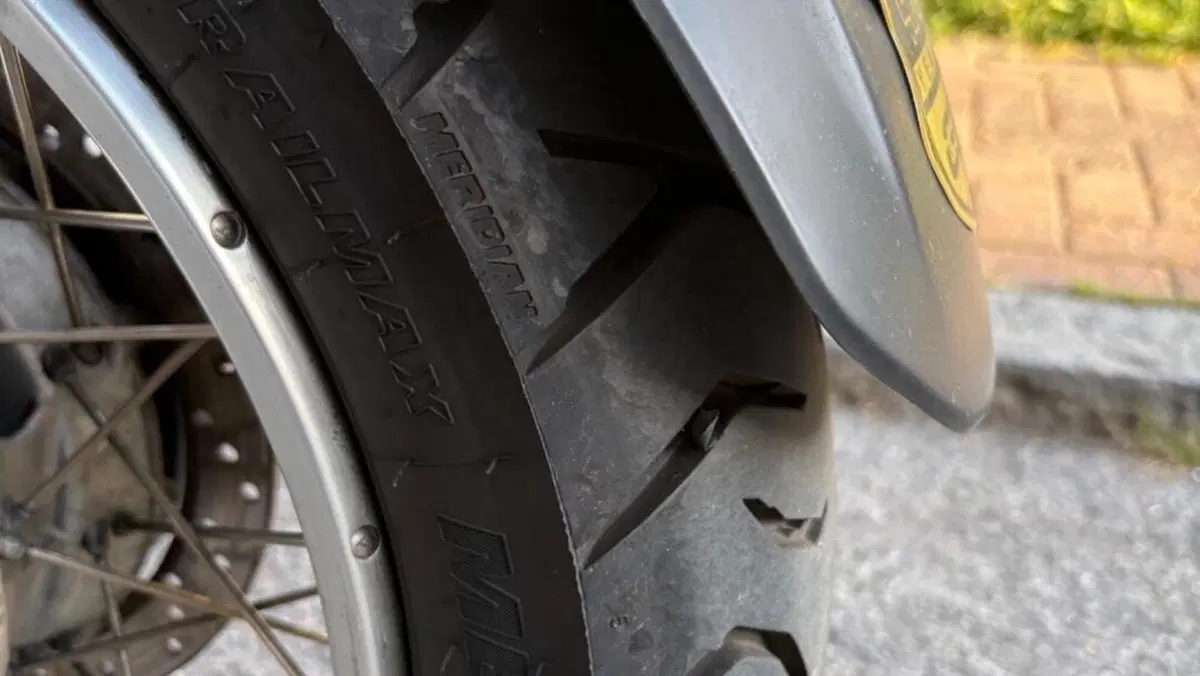 Bmw R 1150 GS (1999 - 03)  (7)