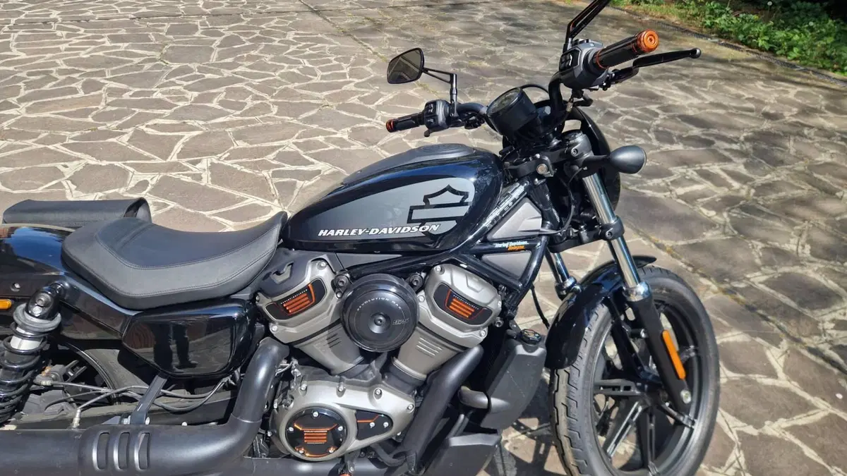 Harley-Davidson Sportster S (2022 - 24)  (7)