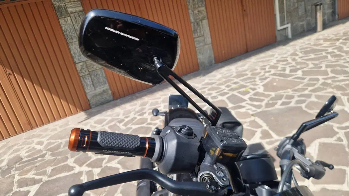 Harley-Davidson Sportster S (2022 - 24)  (15)