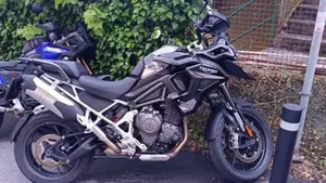 Triumph Tiger 1200 GT Pro (2024 - 26)  (4)