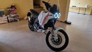 Ducati DesertX (2022 - 25)  (3)