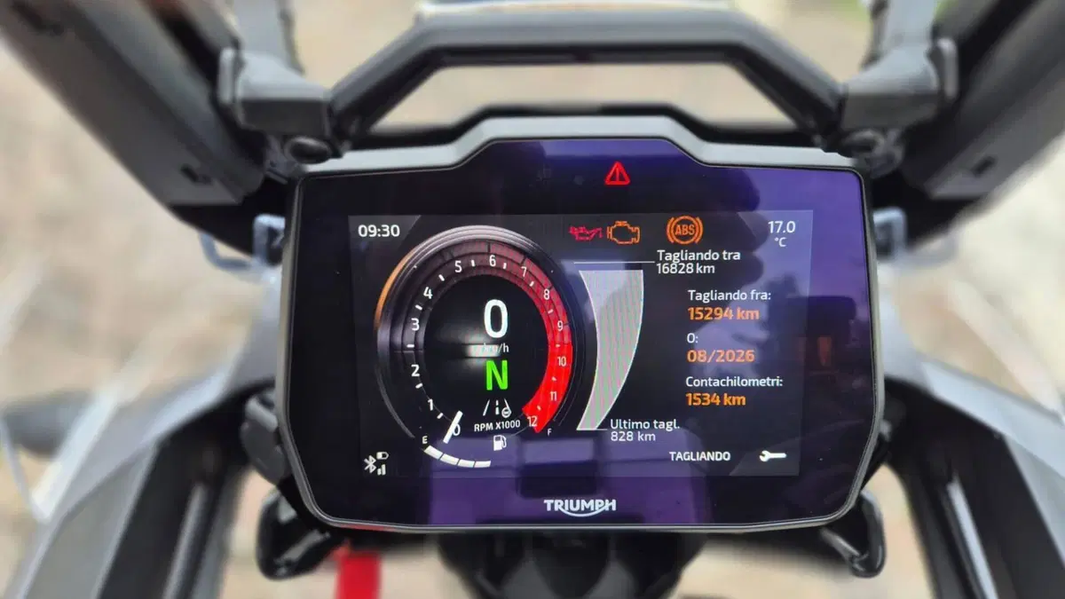 Triumph Tiger 1200 GT Pro (2024 - 26)  (7)