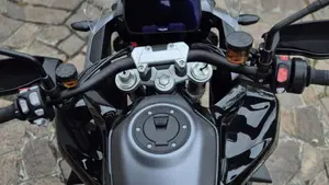 Triumph Tiger 1200 GT Pro (2024 - 26)  (4)