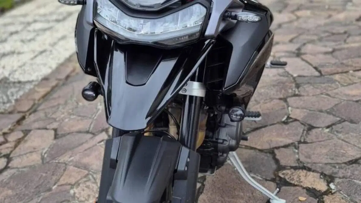 Triumph Tiger 1200 GT Pro (2024 - 26)  (6)