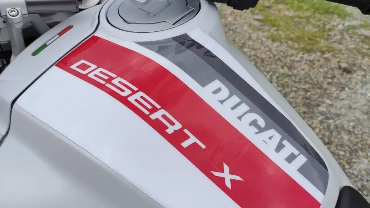 Ducati DesertX (2022 - 25)  (11)