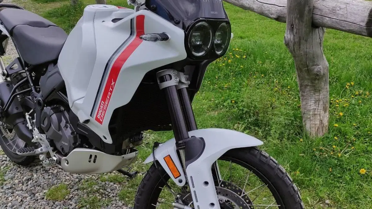 Ducati DesertX (2022 - 25)  (13)