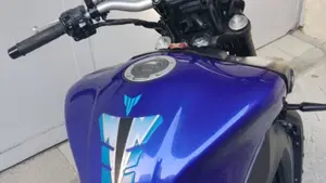 Yamaha MT-09 (2021 - 23)  (3)