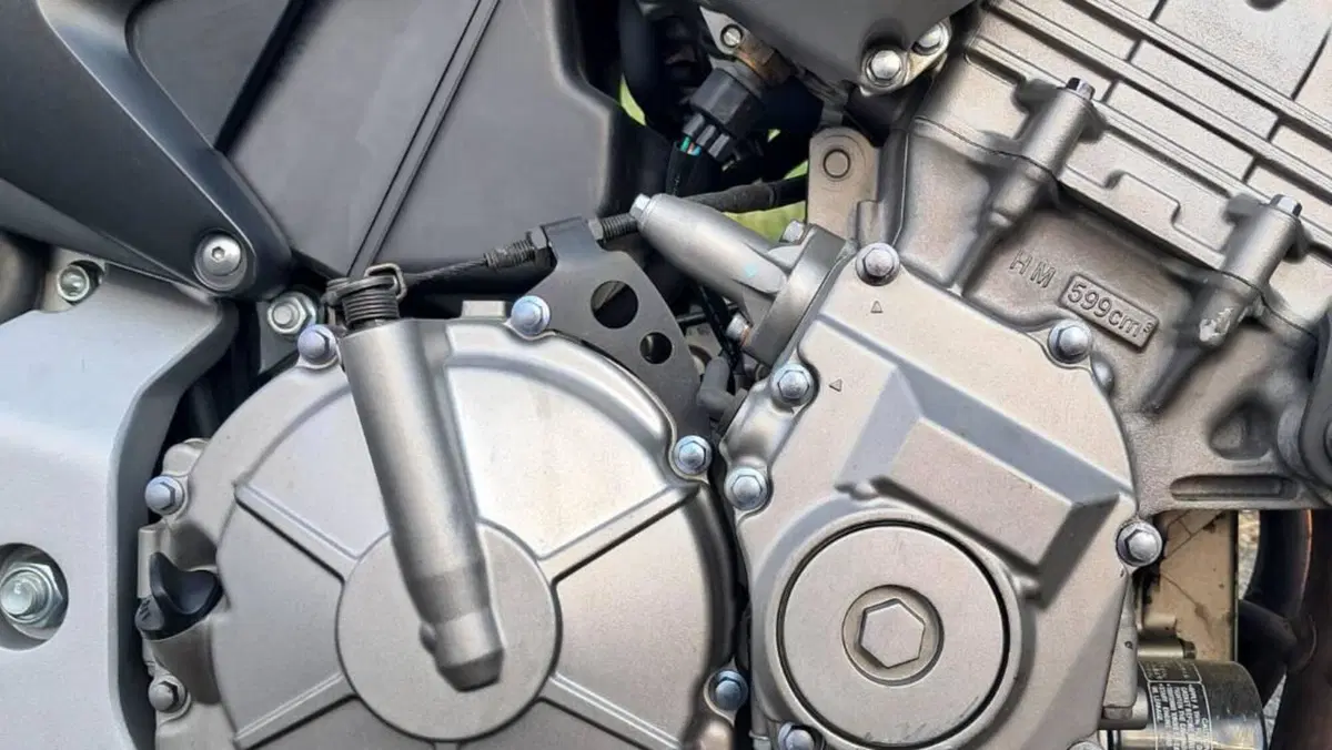 Honda Hornet 600 (2003 - 04)  (6)
