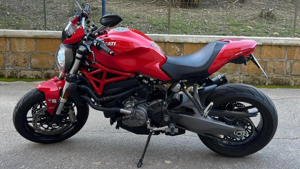 Ducati Monster 821 (2018 - 20)  (3)