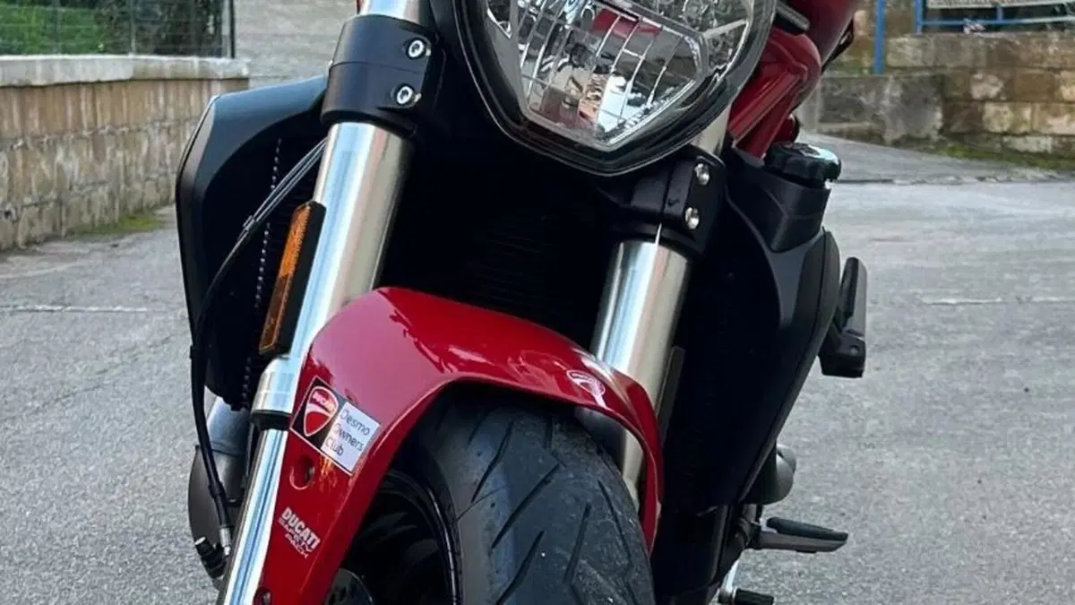 Ducati Monster 821 (2018 - 20)  (4)