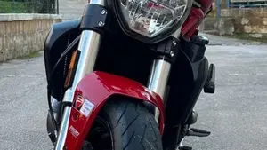 Ducati Monster 821 (2018 - 20)  (4)