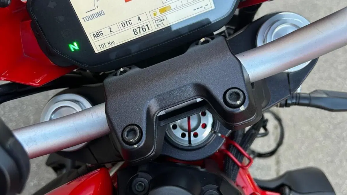 Ducati Monster 821 (2018 - 20)  (5)